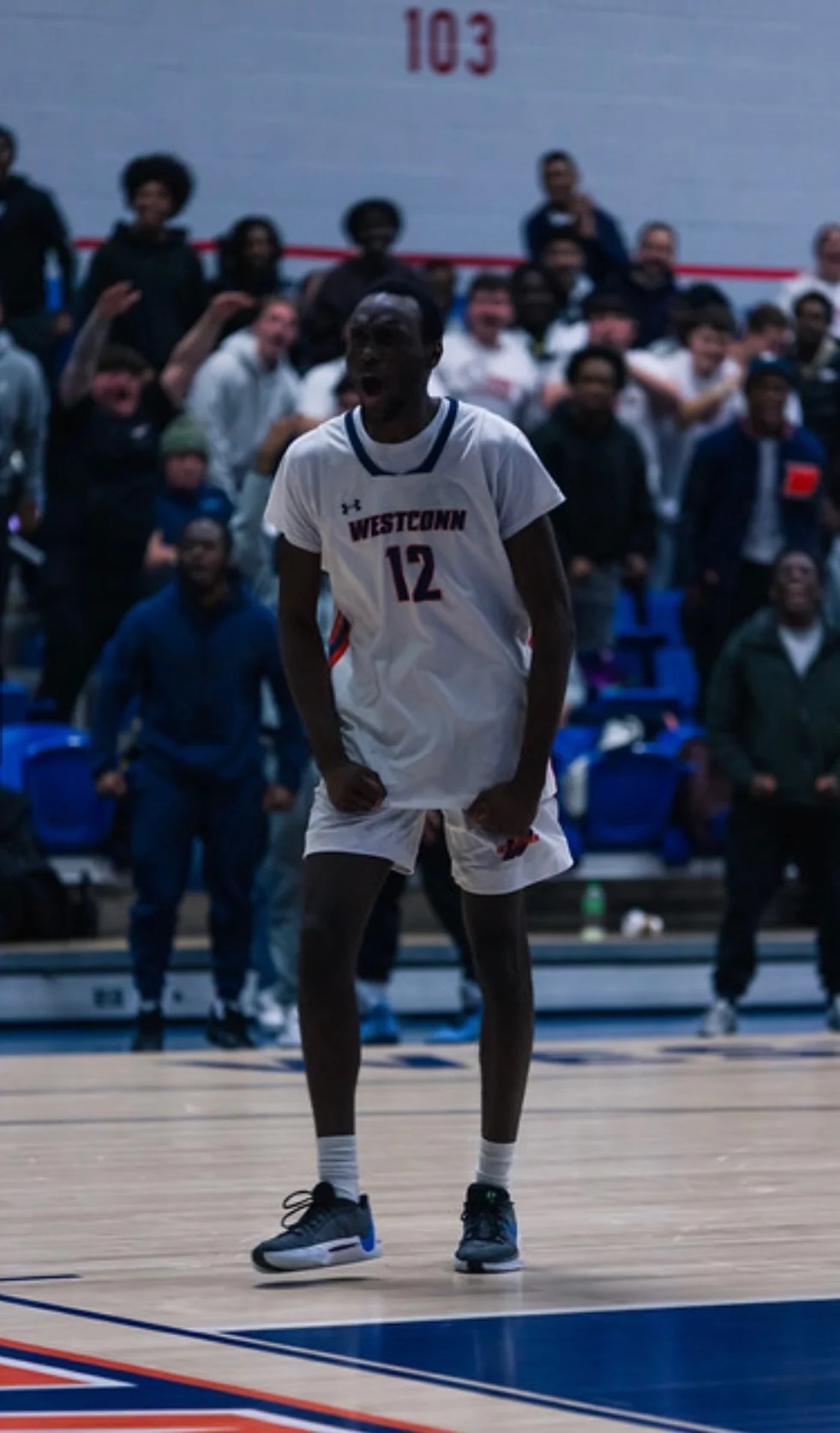 Quintin Chapman, Basketball Skills Development Specialist